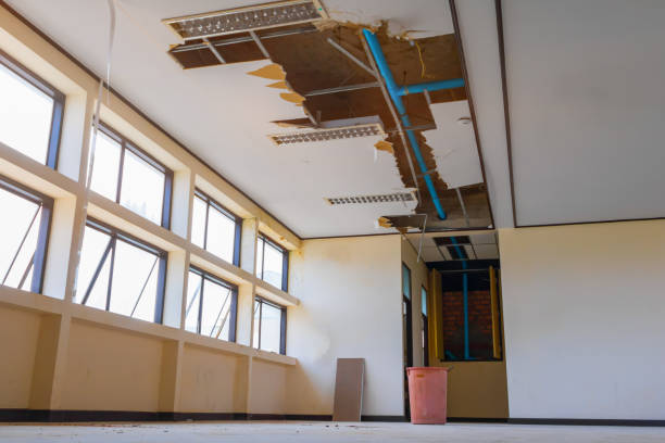 Best Water damage restoration near me  in Edgerton, WI