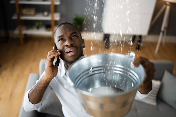 Best Flooded house restoration  in Edgerton, WI