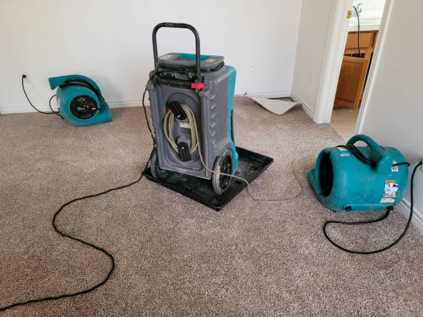 Best Emergency water damage restoration  in Edgerton, WI
