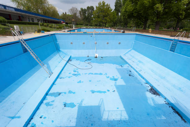 Best Flood restoration services  in Edgerton, WI