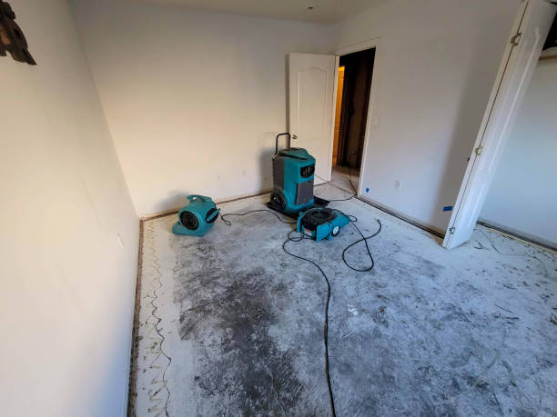 Trusted Edgerton, WI Water damage restoration Experts