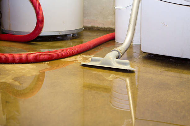 Best Water damage cleanup near me  in Edgerton, WI