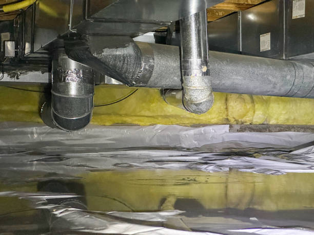 Best Local water damage restoration  in Edgerton, WI