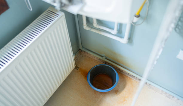 Best Mold removal after water damage  in Edgerton, WI