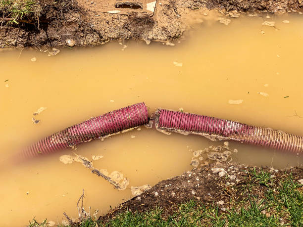 Best Flooded house restoration  in Edgerton, WI