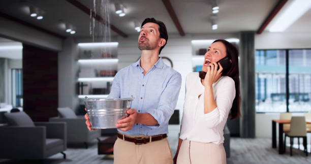 Best Water damage cleanup near me  in Edgerton, WI