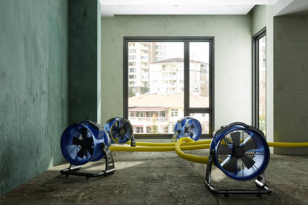 Best Ceiling water damage repair  in Edgerton, WI