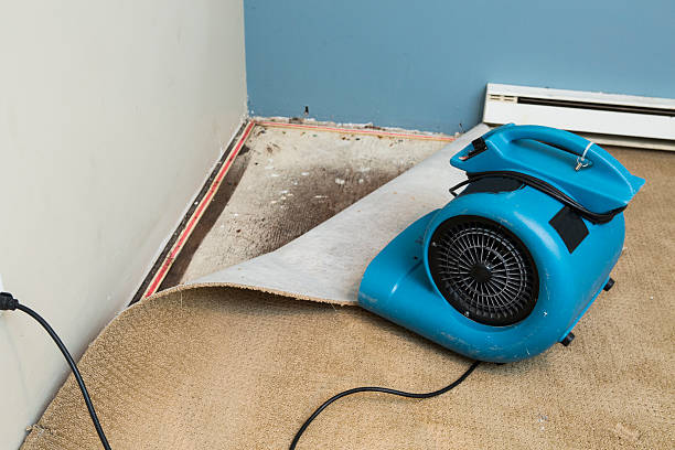 Best Commercial water damage restoration  in Edgerton, WI